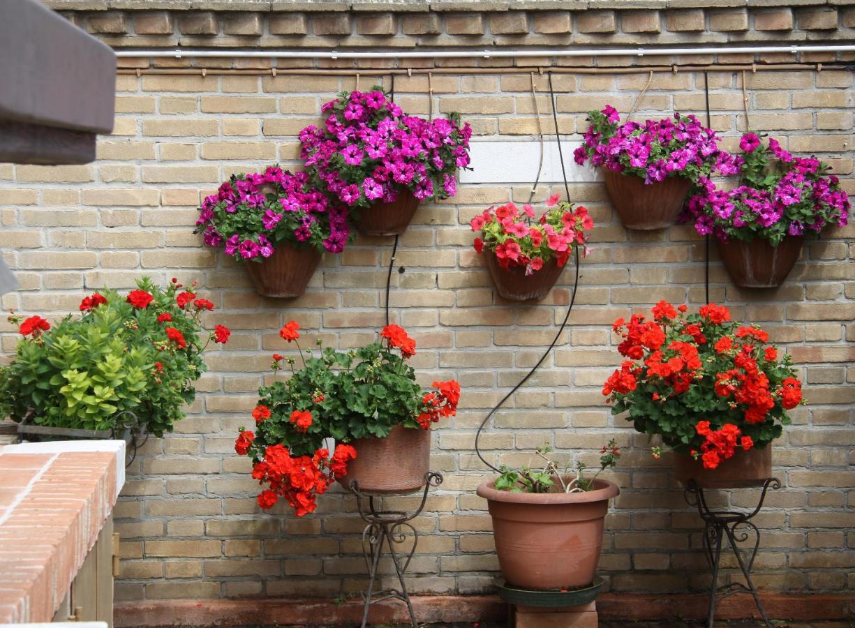 Murano Garden House Lejlighed Eksteriør billede